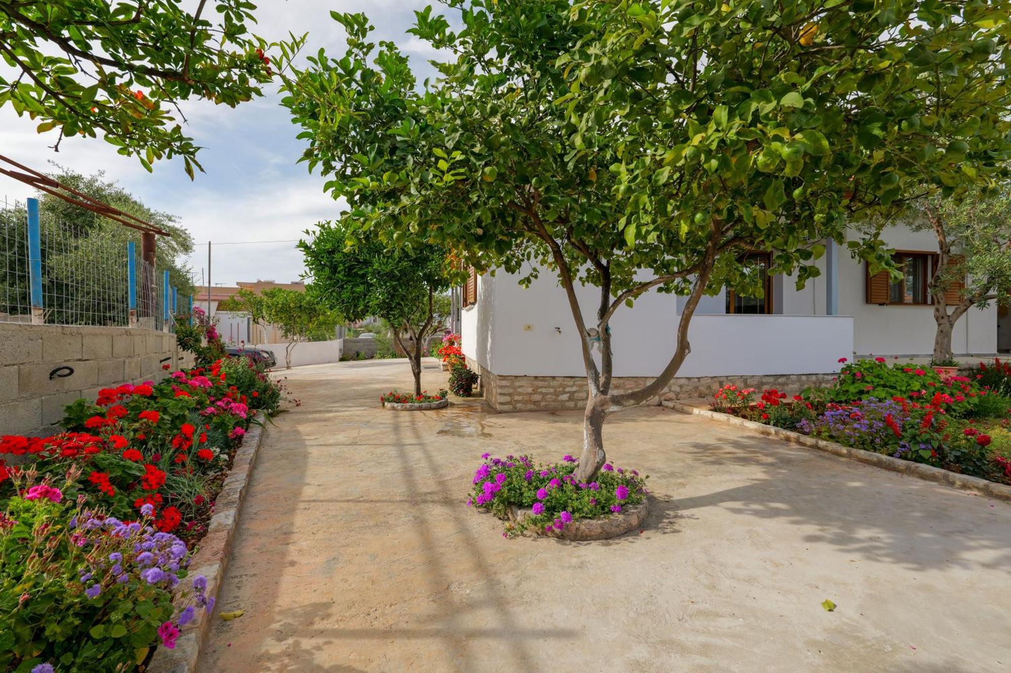 קסאמיל Brahimi Guest House מראה חיצוני תמונה