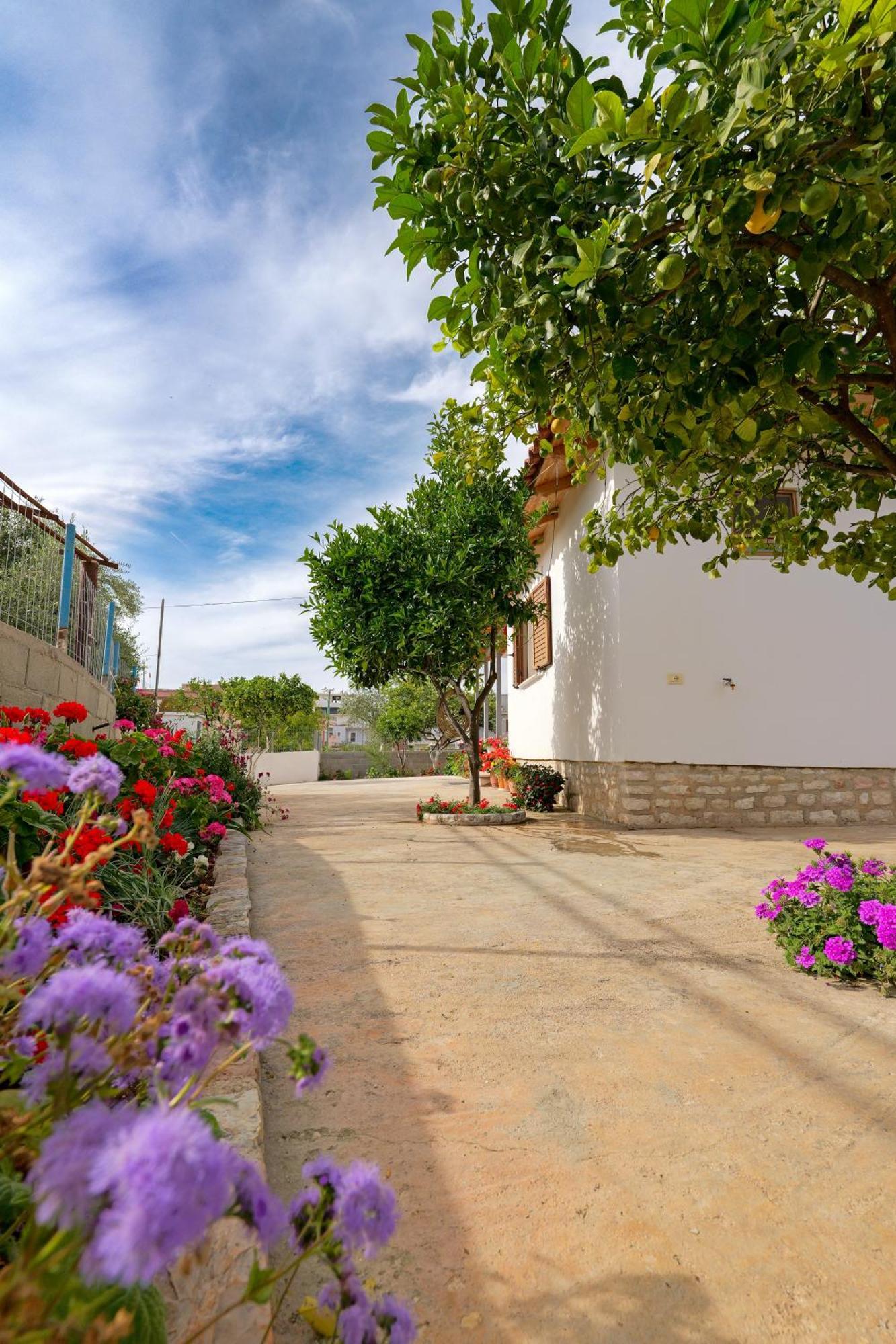 קסאמיל Brahimi Guest House מראה חיצוני תמונה