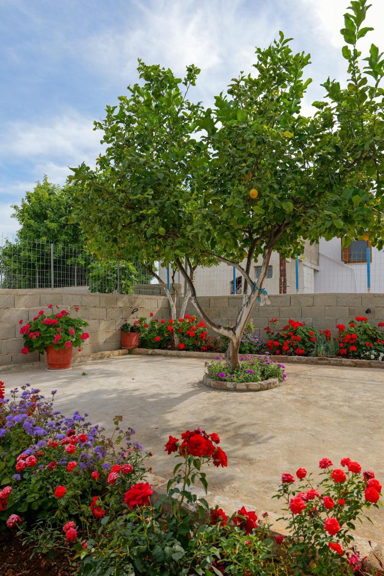 קסאמיל Brahimi Guest House מראה חיצוני תמונה
