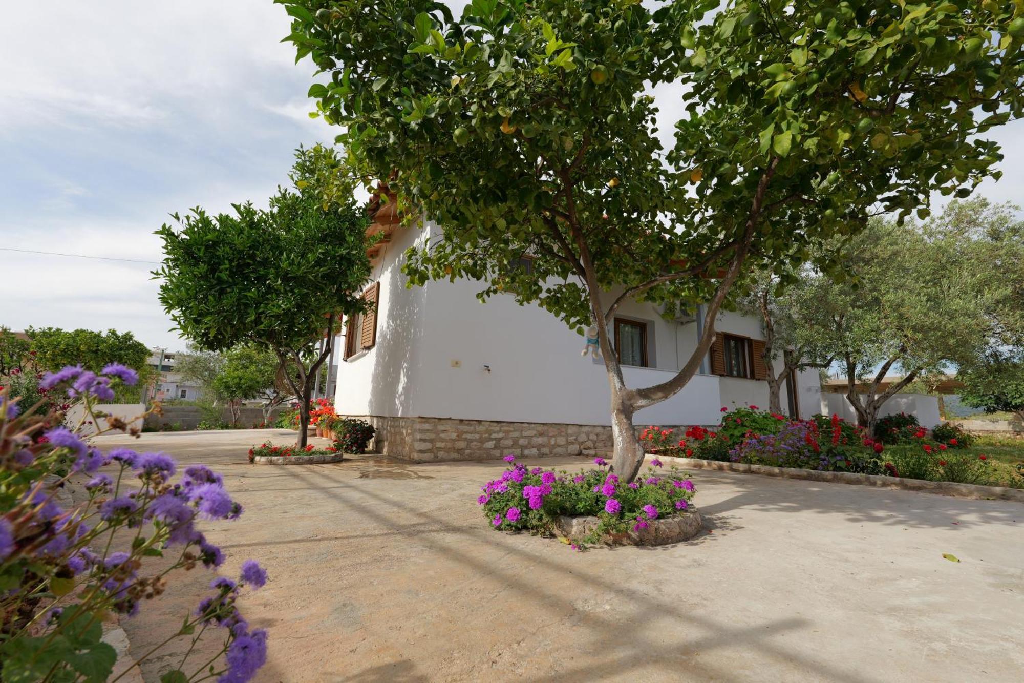 קסאמיל Brahimi Guest House מראה חיצוני תמונה